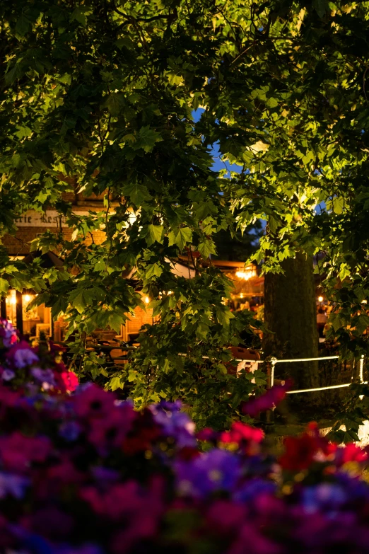 the light on the building is shining above colorful flowers