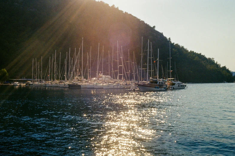 many sailboats are docked at the shoreline in the day