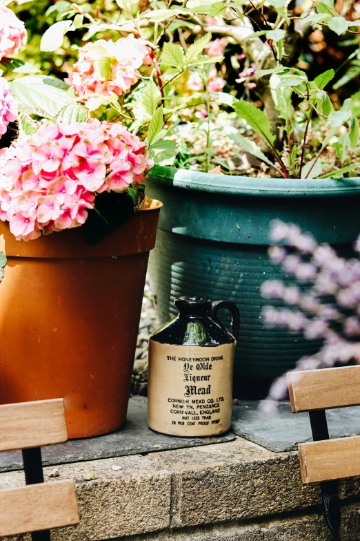 a plant with two vases and one one in the ground with flowers behind it