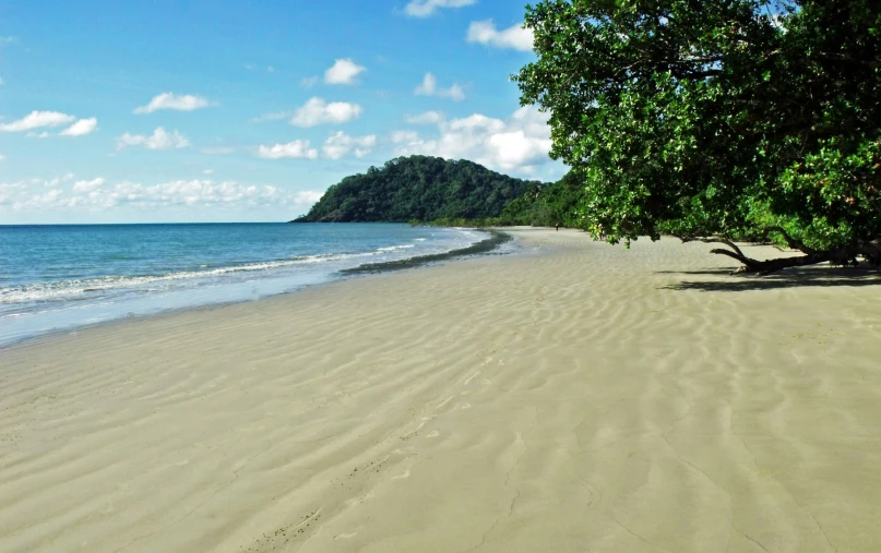 the sandy shore lines the beach with trees