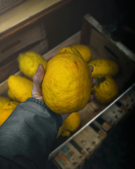 a man is holding a large bunch of lemons