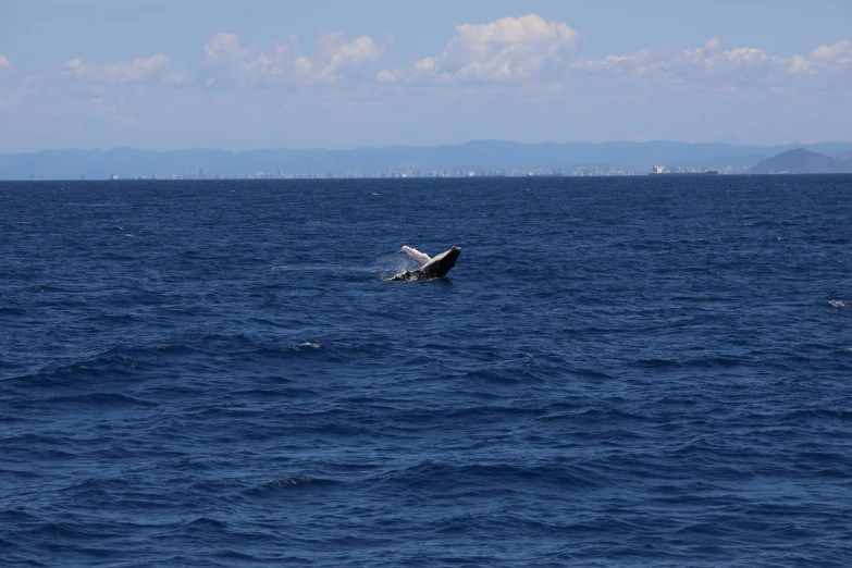 a small airplane flying over a large blue body of water