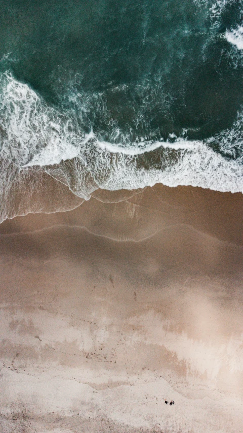 a group of people standing on the shore of a beach