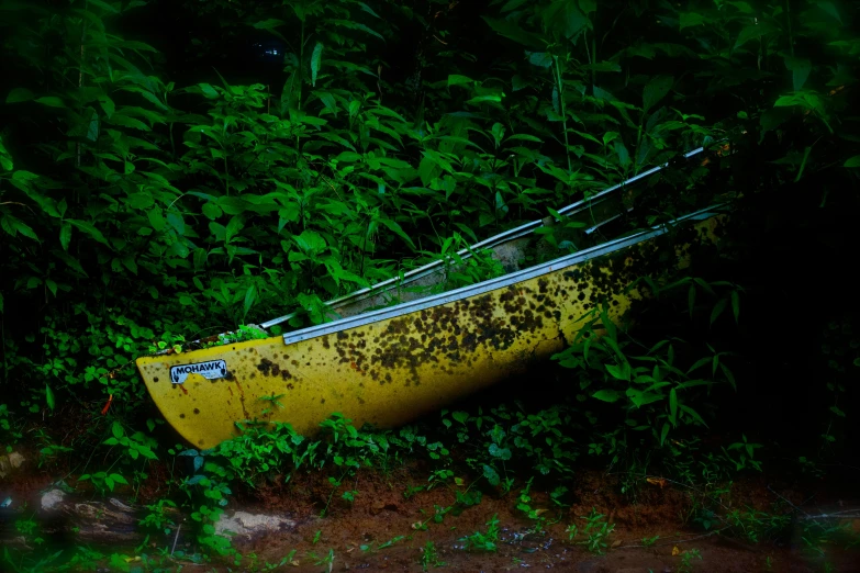 an old yellow boat abandoned in the middle of bushes