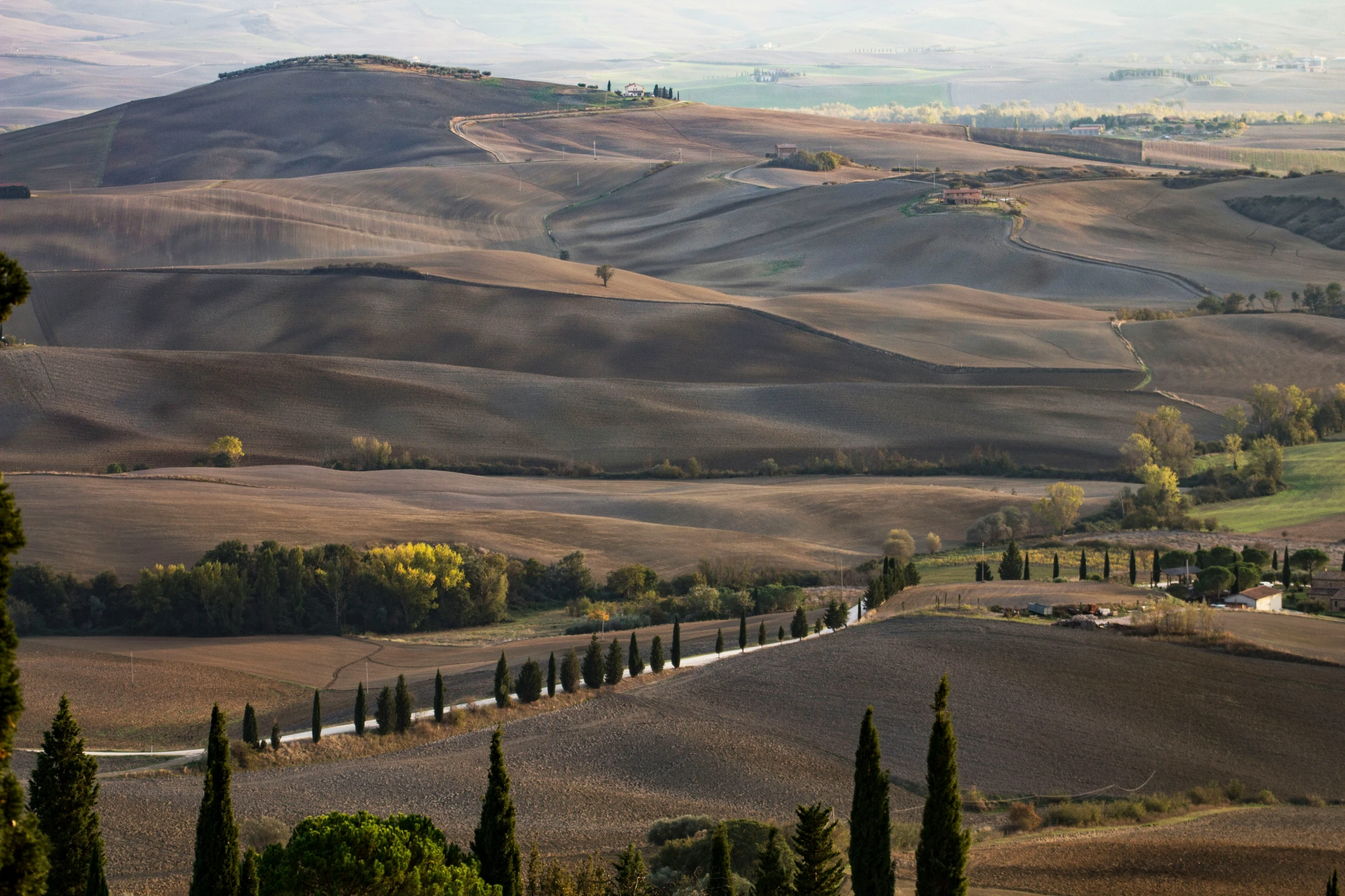 hilly terrain and fields, with trees at the bottom