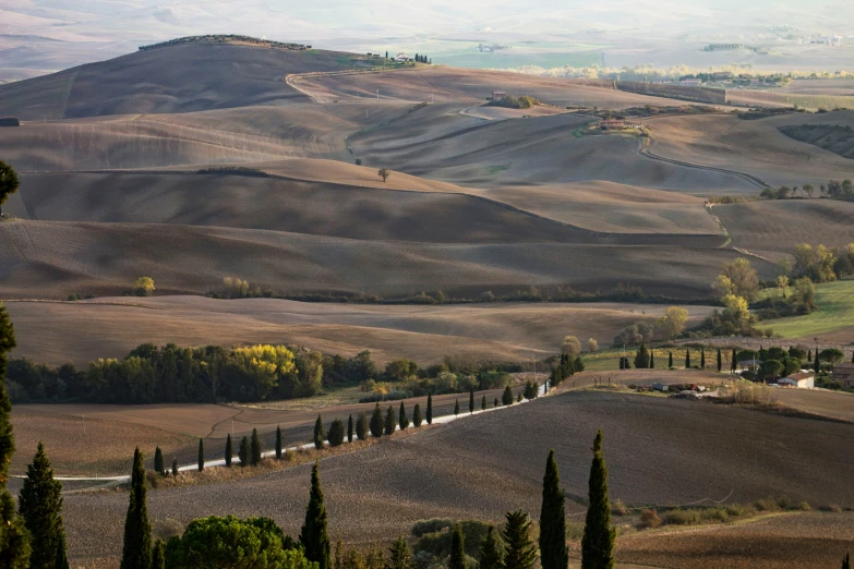 hilly terrain and fields, with trees at the bottom