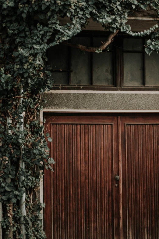 a closed garage door is flanked by greenery