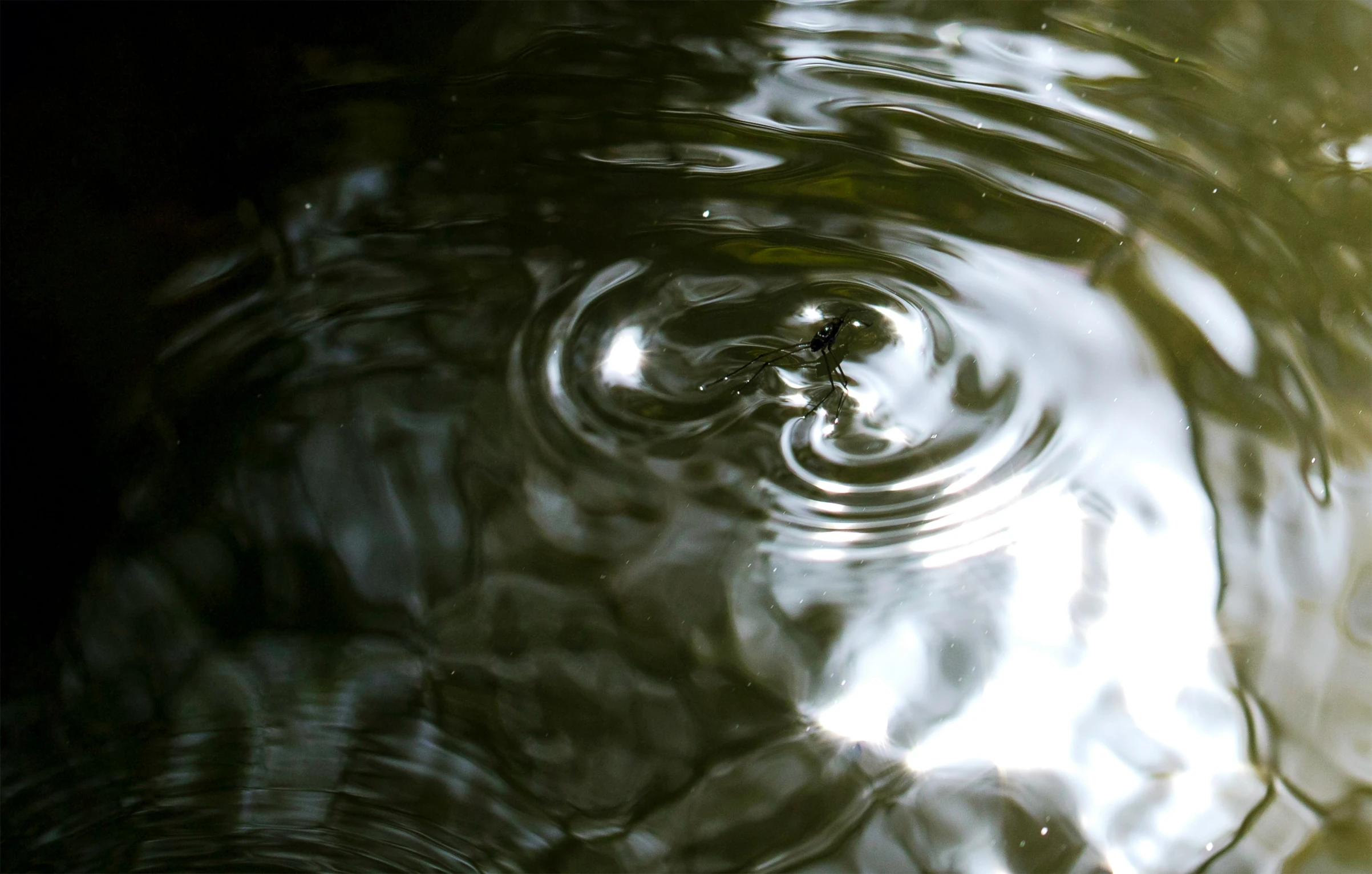 a drop is shown in the middle of water