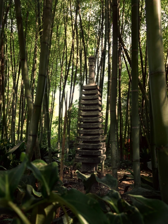 a group of stairs in a forested forest
