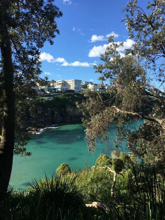 a large body of water that is surrounded by green trees