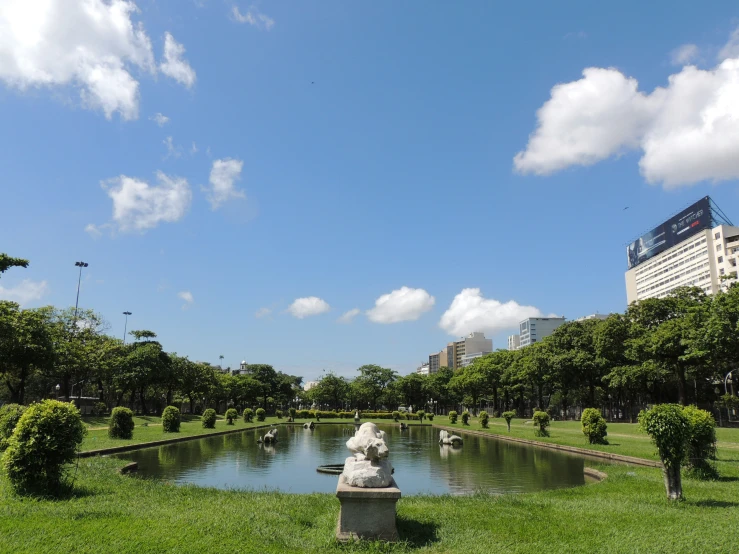 a large pond next to green trees and grass