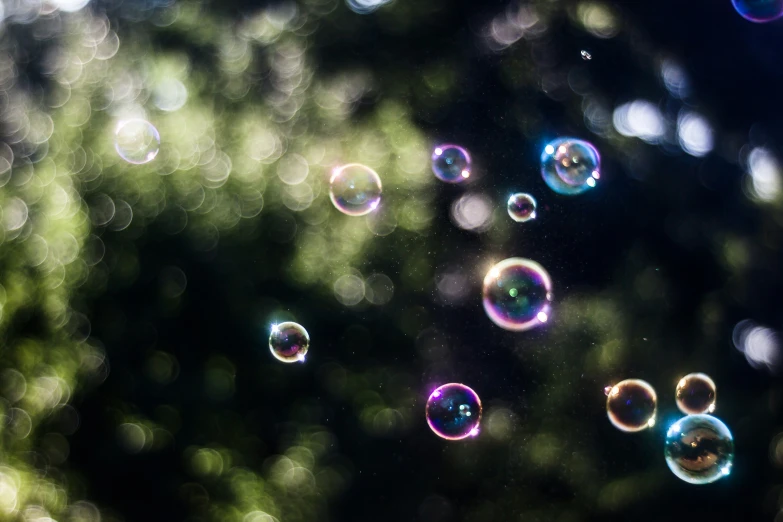 soap bubbles float through the air on a sunny day