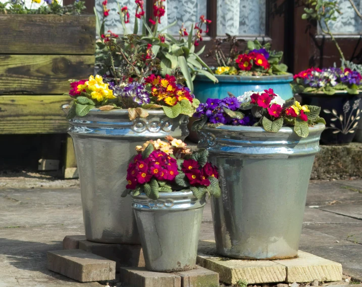 some buckets filled with flowers on a sidewalk