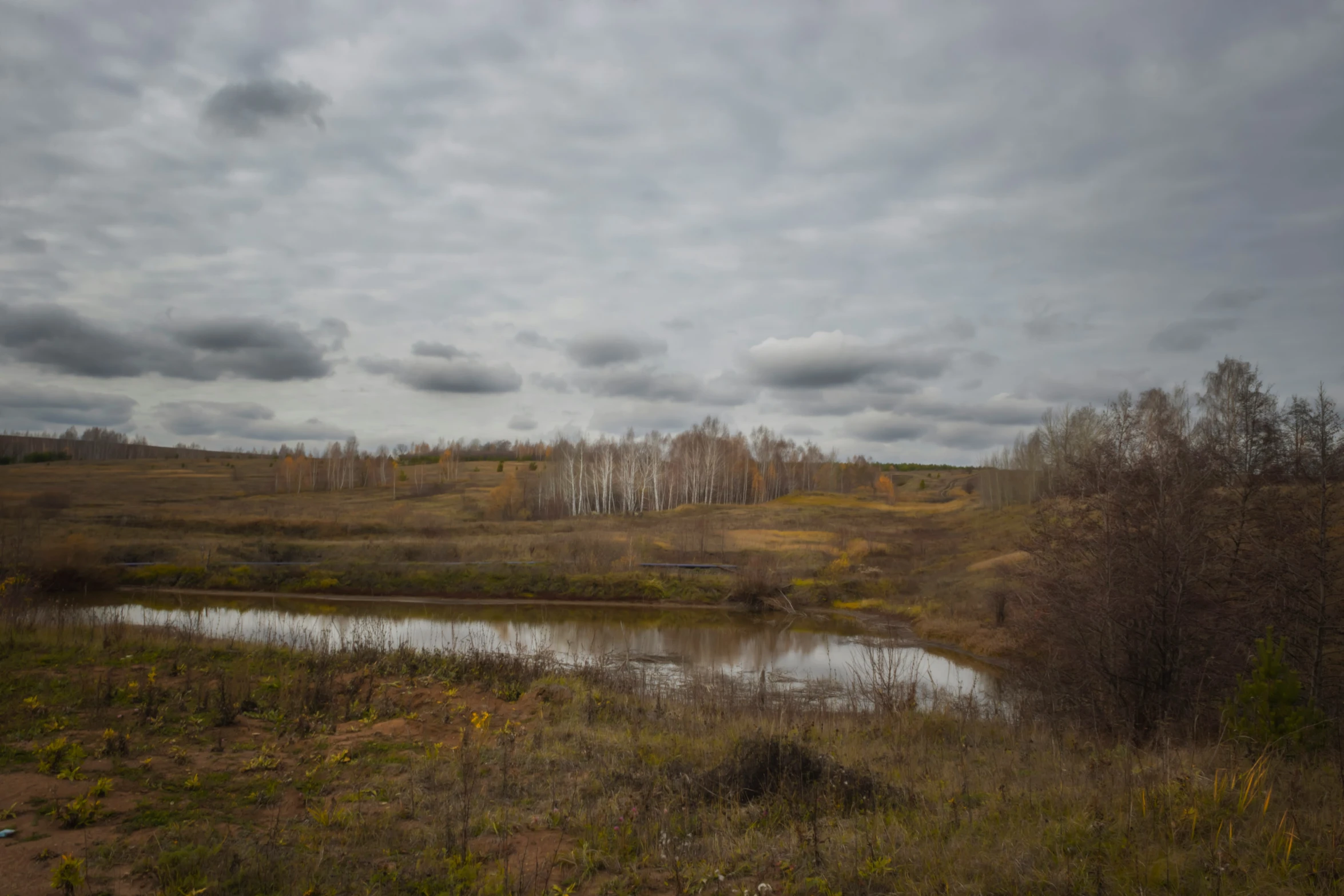 an open plain with pond surrounded by trees