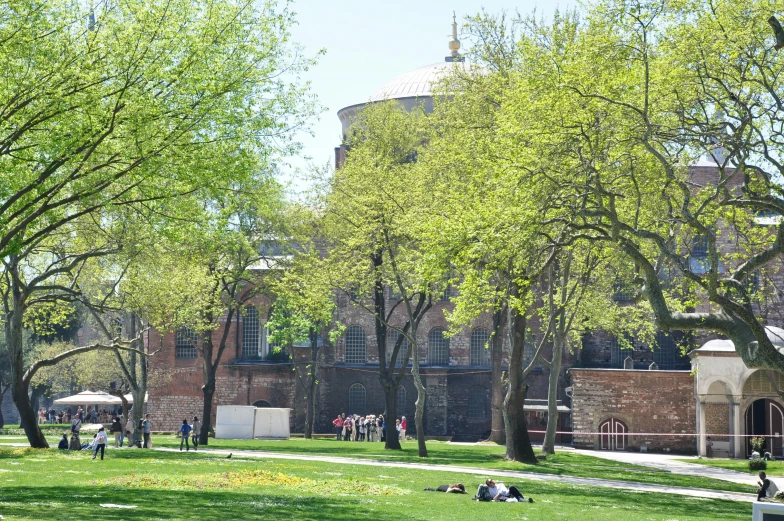 there are many people sitting outside on the grass