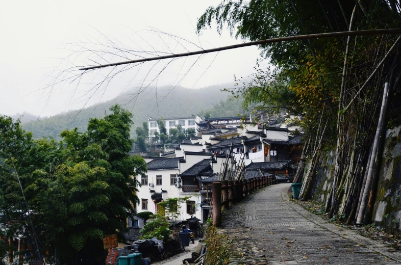 an alley with lots of trees lined up side down