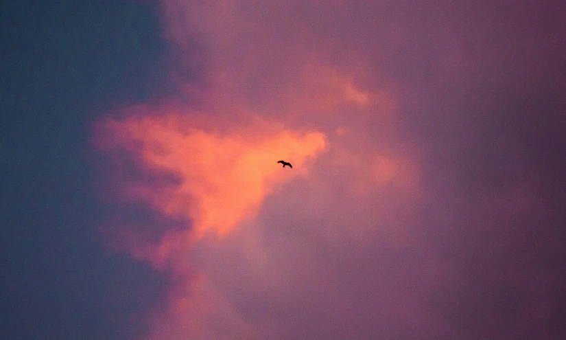 a bird is flying into the sunset in the sky