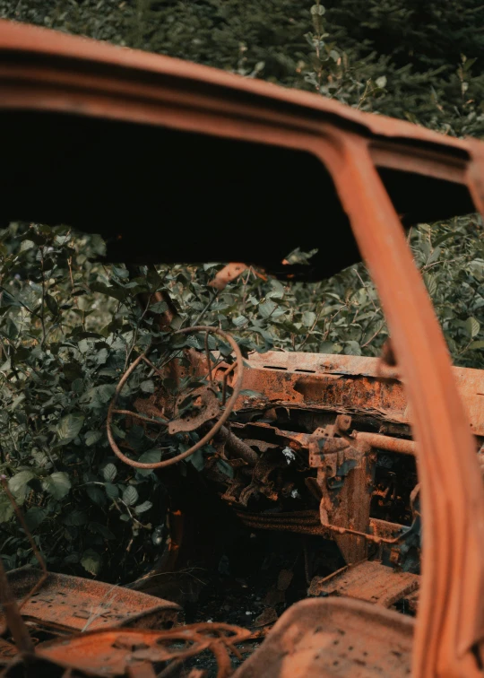 an old vehicle parked among greenery and rusted