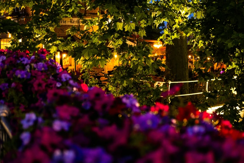 colorful flowers and hanging lights create an atmosphere of relaxation