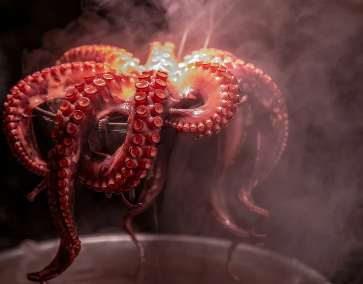 an octo octo in the ocean with steam rising out of it