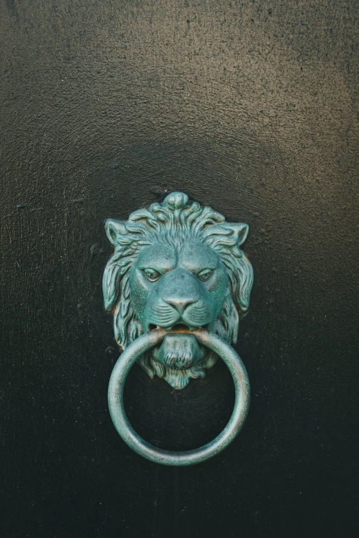 the handle is designed to look like a lion head