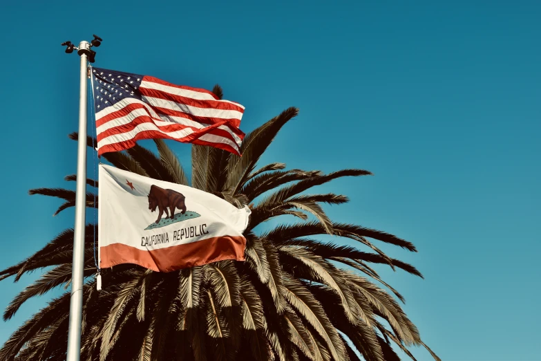 an american flag and a california state flag on flags