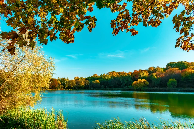 an image of a view from a lake that is surrounded by trees