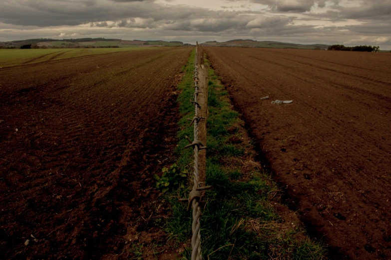 a bare road in a large field with no grass