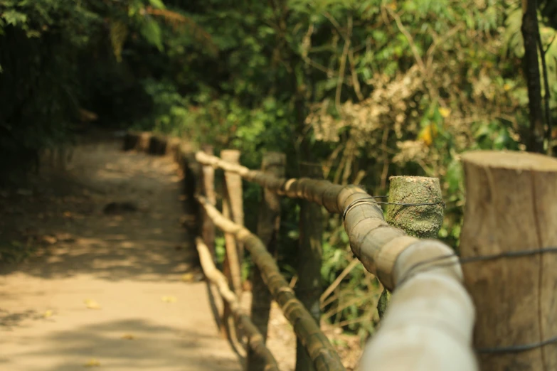 an image of a zoo or wildlife sanctuary