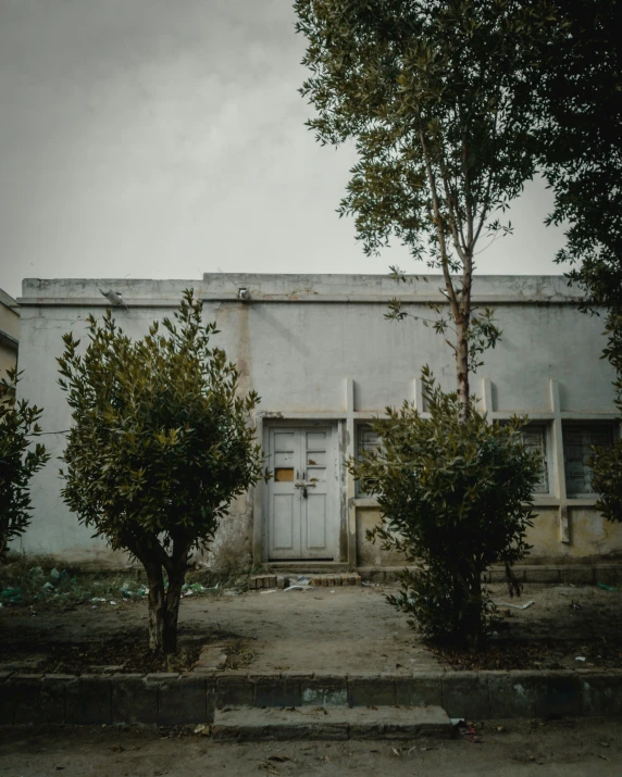 a door on a white house with two trees in front