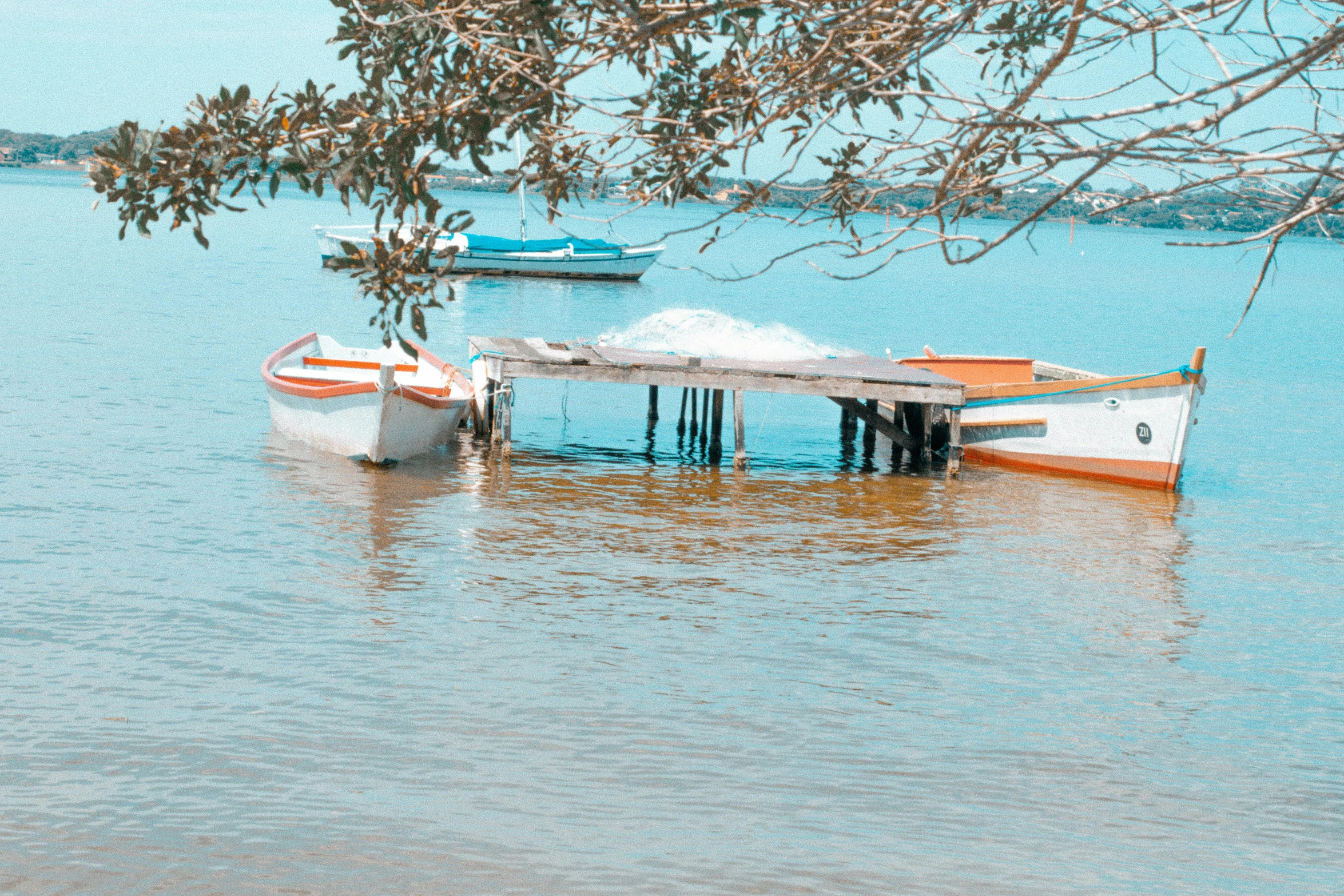 boats on the water near a tree nch