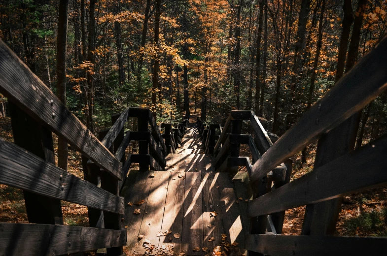 a path that has a bunch of boards on it