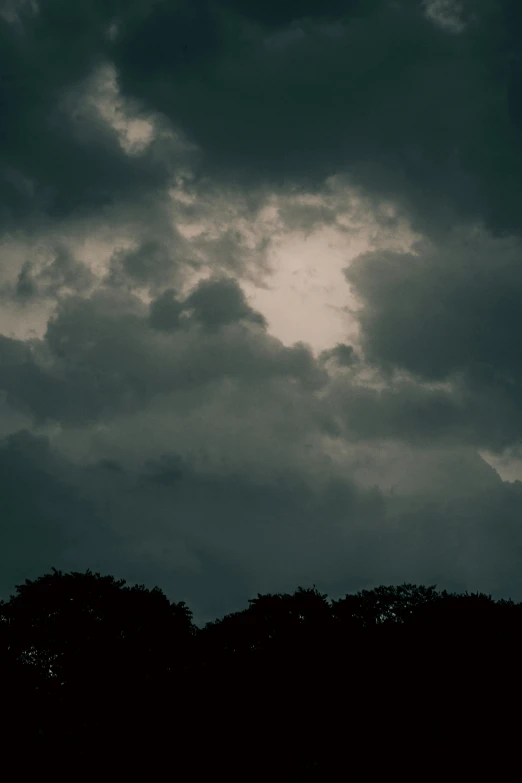 a group of trees against a dark, cloudy sky