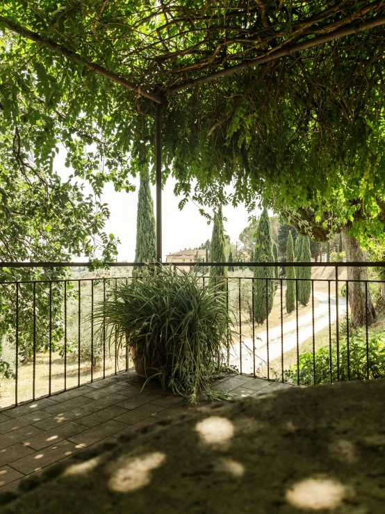 a bench sitting under a large tree next to a fence