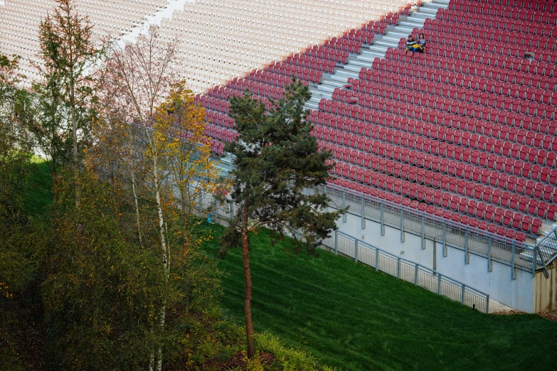 red seats on stands near small trees in the park