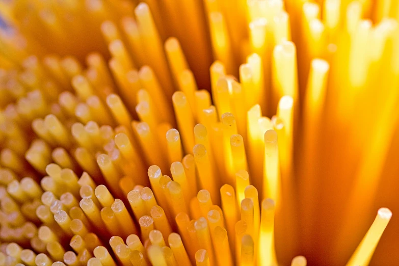 a close up s of some very large yellow colored tooth picks