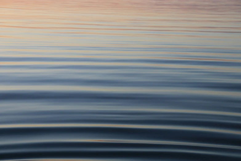 calm lake water and the sun reflecting on it