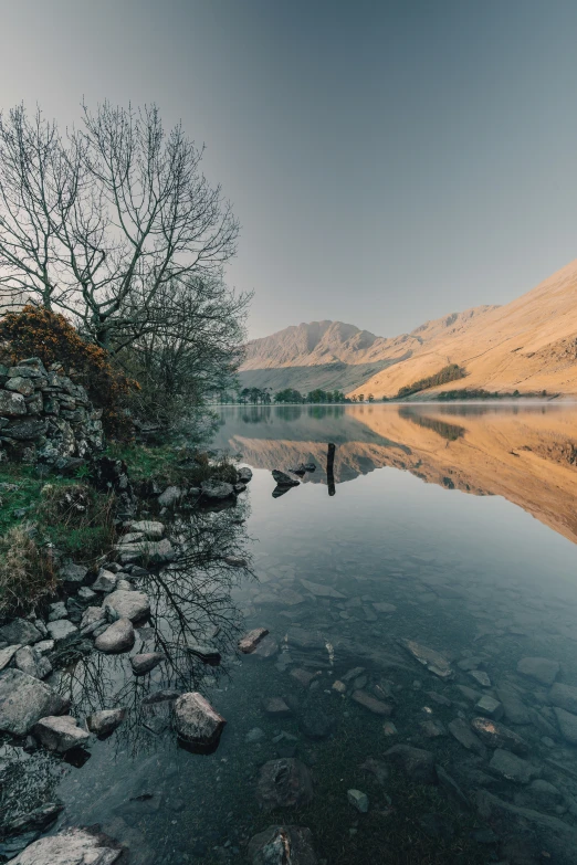 a man standing on top of a body of water near trees