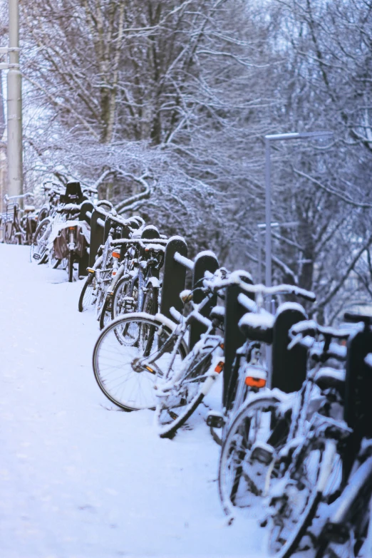 a number of bicycles covered in snow by some poles