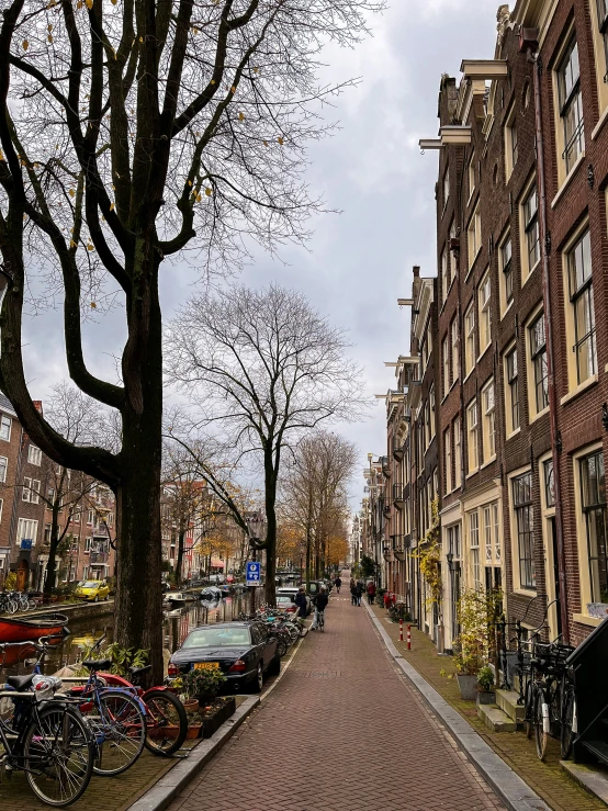 a row of buildings with many bicycles parked on the side walk