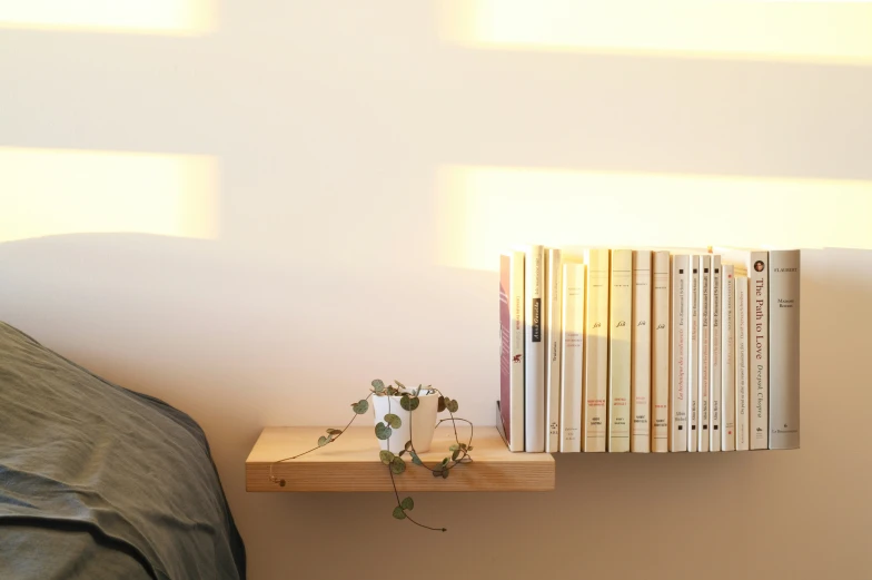 a bed that has some books and a plant on the shelf