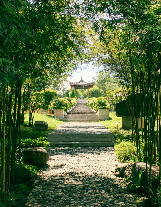 an open walkway leading through a garden to a pagoda