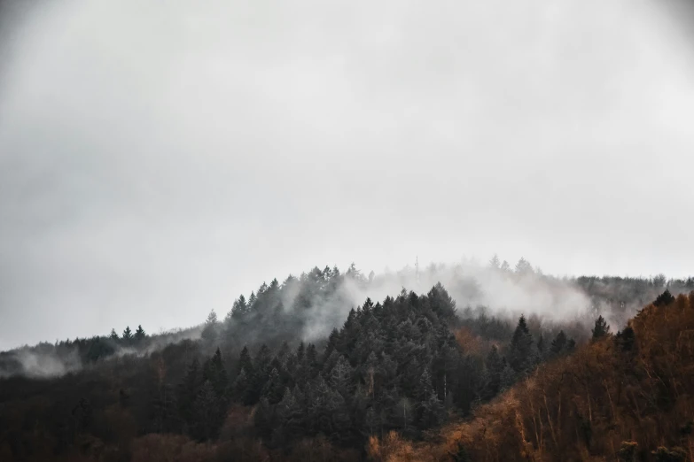 the fog and snow covered mountain tops are very thick