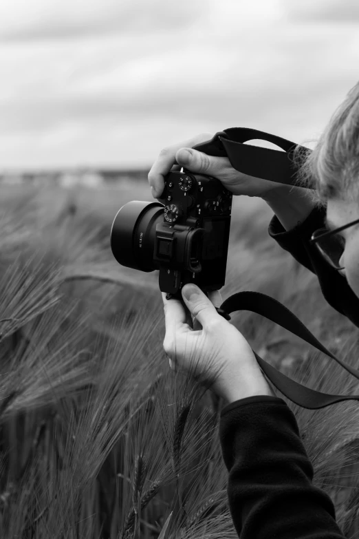 a person taking pictures through a camera on a wheat field