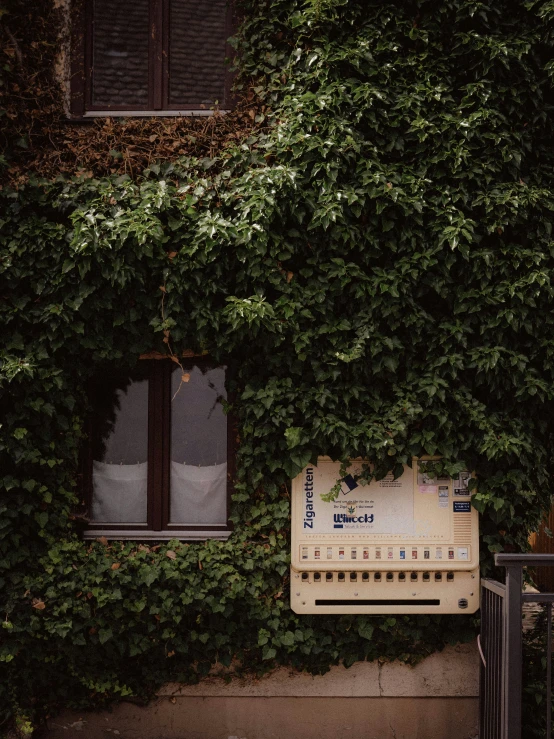 a white clock sitting under a green bush next to a window