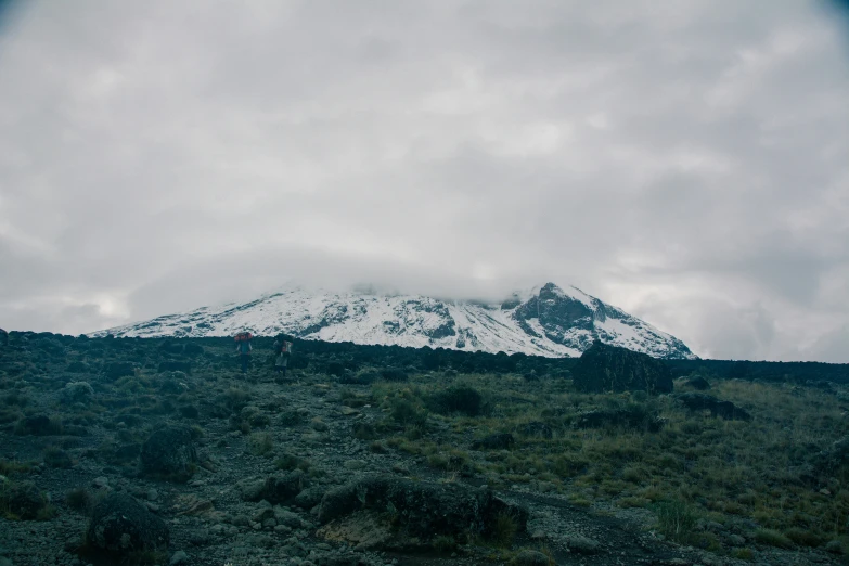 a snow - capped mountain is seen in the distance with vegetation