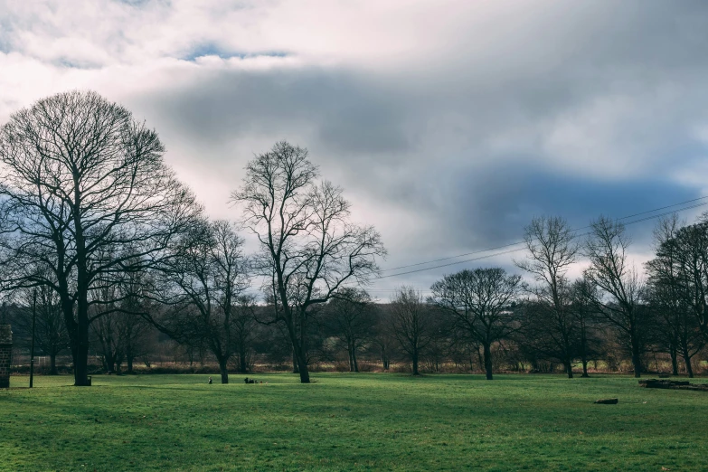 green grassy field with trees and a building in the background