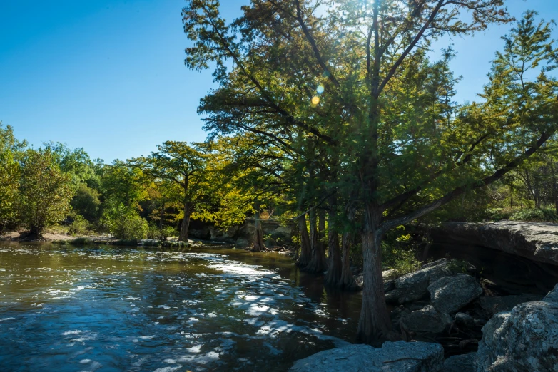 the sun shines on the water beside the trees