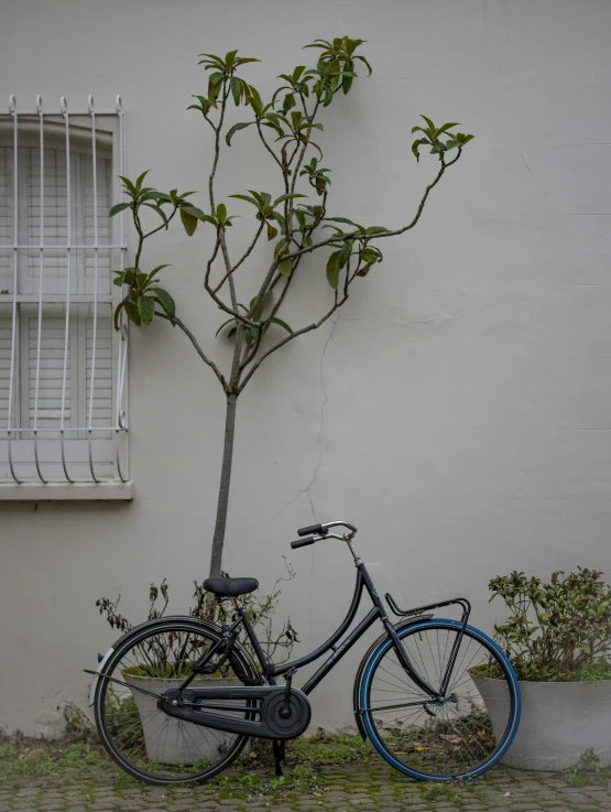 an old bicycle parked next to a planter