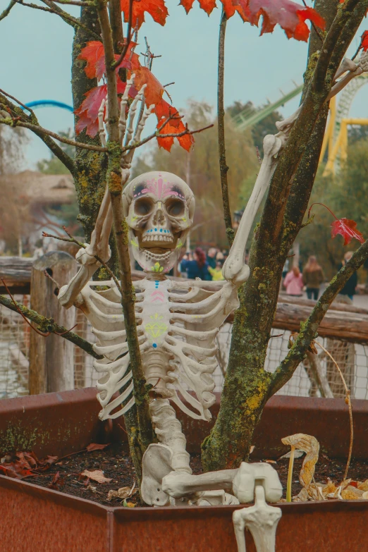 a skeleton sitting on its side in a garden